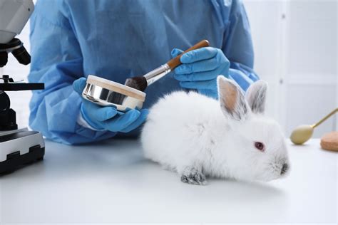 animal testing makeup.